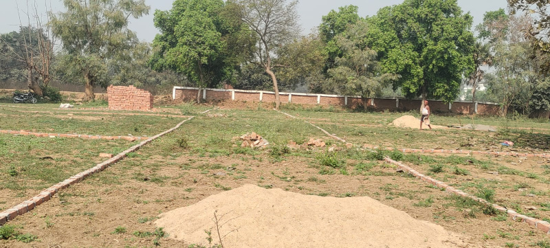  1200 Sq.ft. Residential Plot for Sale in Bihta, Patna