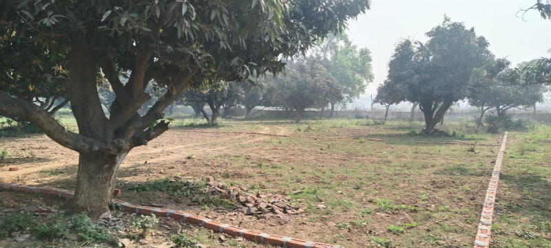  1200 Sq.ft. Residential Plot for Sale in Bihta, Patna