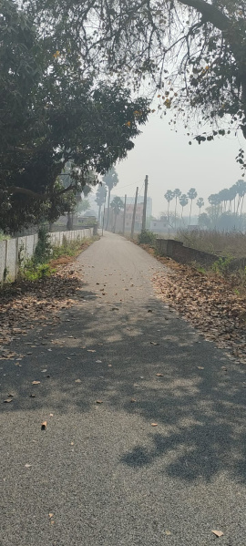  1200 Sq.ft. Residential Plot for Sale in Bihta, Patna