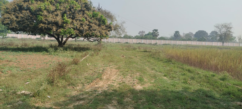  1000 Sq.ft. Residential Plot for Sale in Bihta, Patna