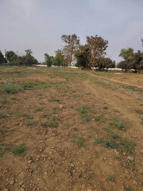  1000 Sq.ft. Residential Plot for Sale in Bihta, Patna