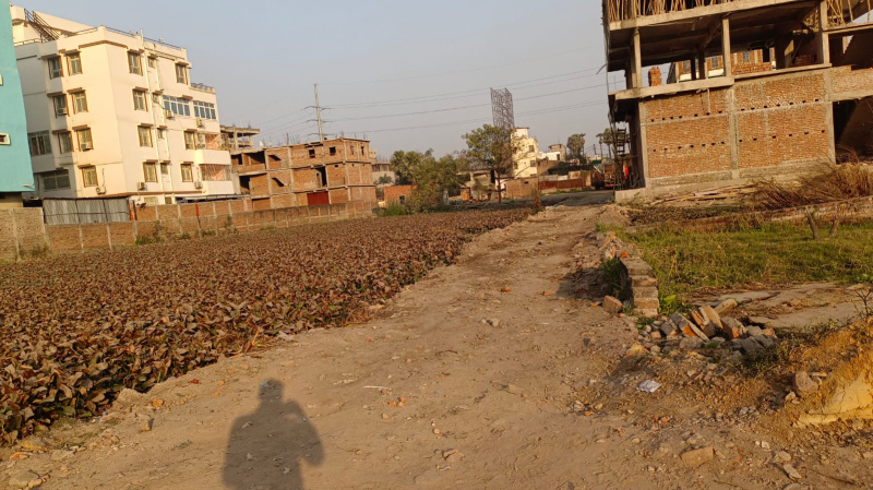  1200 Sq.ft. Residential Plot for Sale in Sonepur, Patna