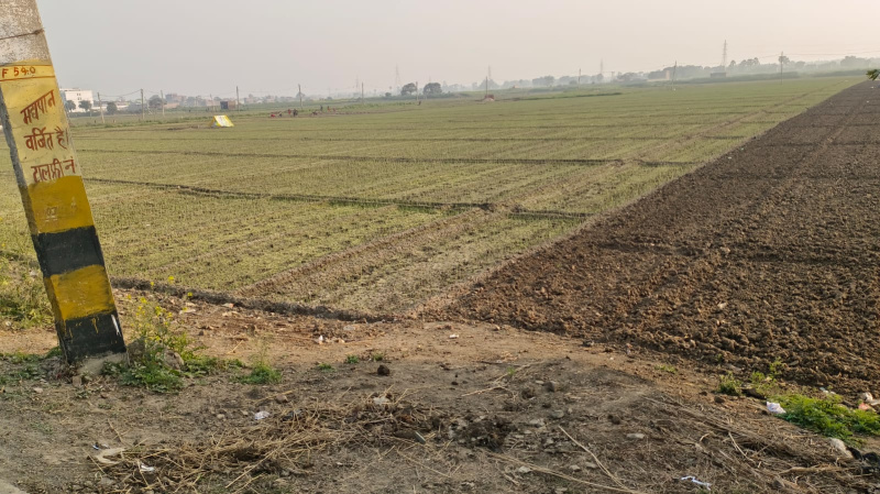  1200 Sq.ft. Residential Plot for Sale in Deedarganj, Patna