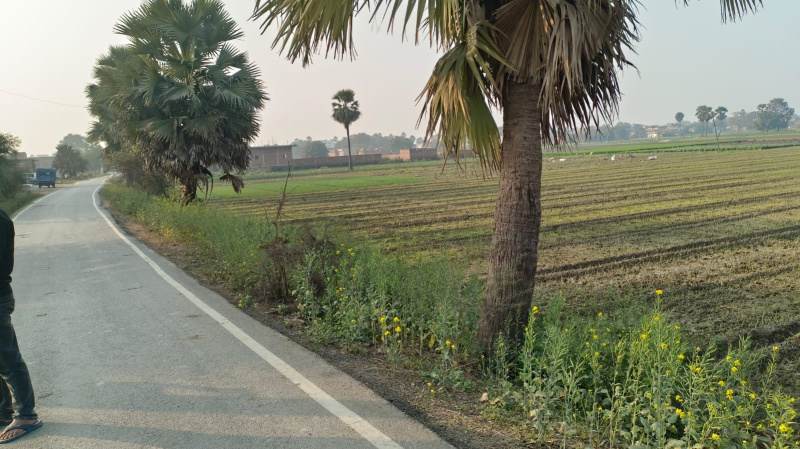  1200 Sq.ft. Residential Plot for Sale in Deedarganj, Patna