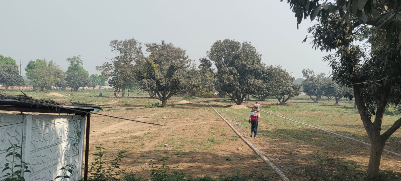  1200 Sq.ft. Residential Plot for Sale in Bihta, Patna