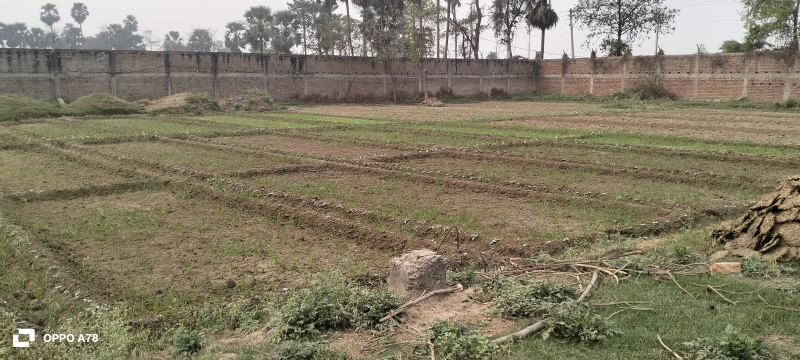 Additional image 2 of Deedarganj, Patna