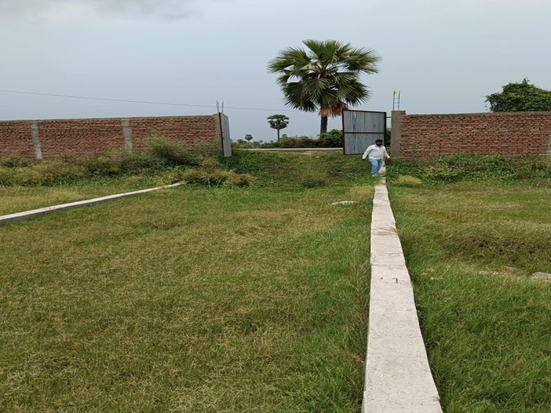 Bela, Patna photo 2