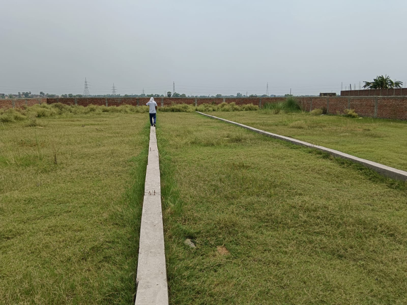 Bela, Patna photo 3