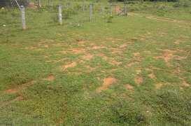  Agricultural Land for Sale in Alangayam, Vellore