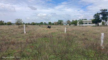  Commercial Land for Sale in Austinpatti, Madurai