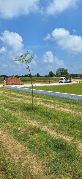  Residential Plot 2000 Sq.ft. for Sale in Sukrauli, Kushinagar