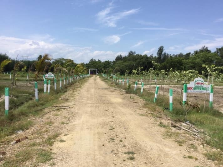  Agricultural Land 9600 Sq.ft. for Sale in Avadi, Chennai