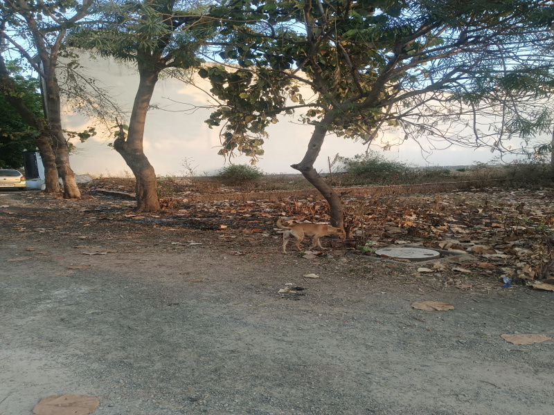  Residential Plot 112 Sq. Meter for Sale in New Moradabad