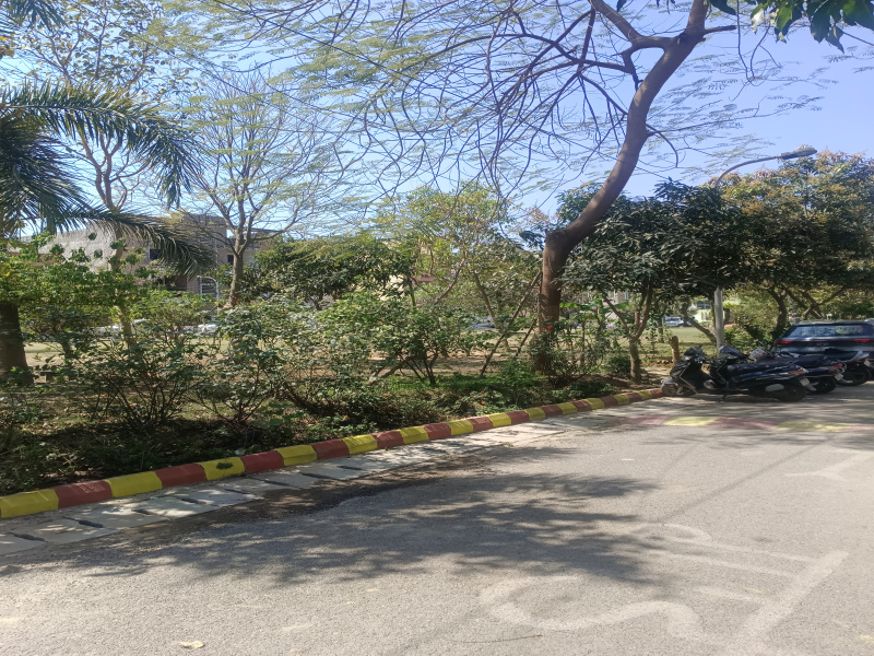  Residential Plot 262 Sq. Meter for Sale in New Moradabad