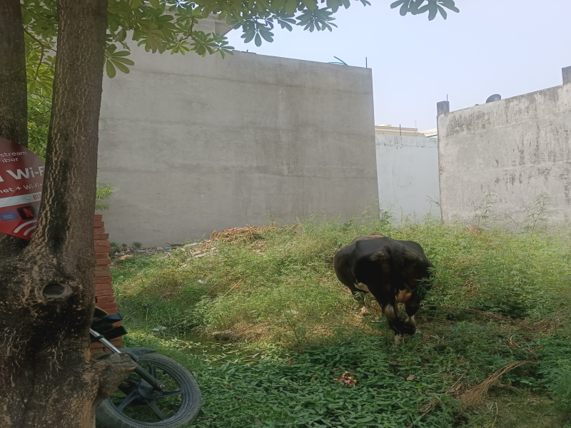  Residential Plot 72 Sq. Meter for Sale in New Moradabad
