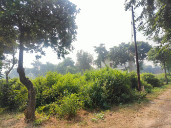  Residential Plot for Sale in New Moradabad