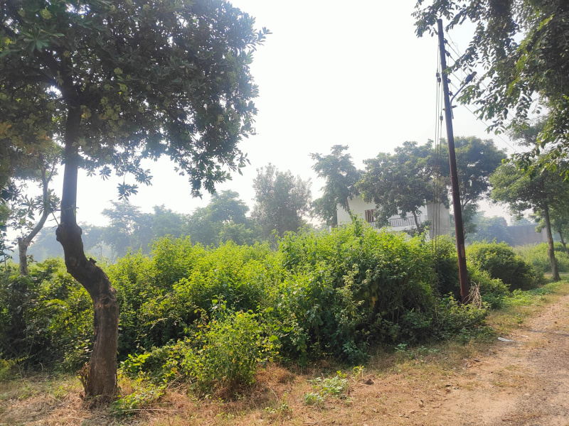  120 Sq. Meter Residential Plot for Sale in New Moradabad