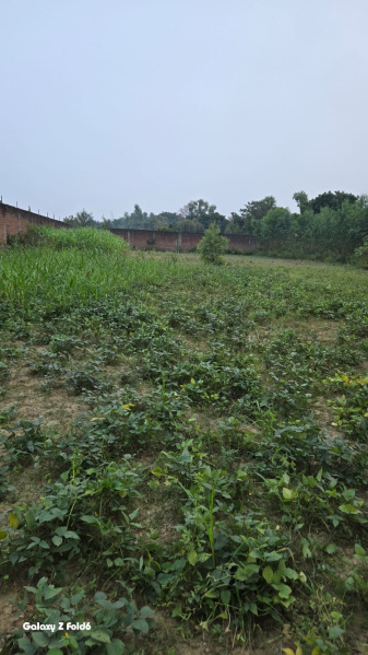  135 Sq. Meter Residential Plot for Sale in New Moradabad