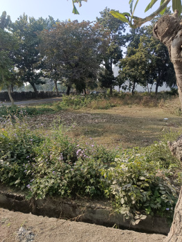  Residential Plot for Sale in New Moradabad