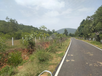  Industrial Land for Sale in Nakkapalli, Visakhapatnam