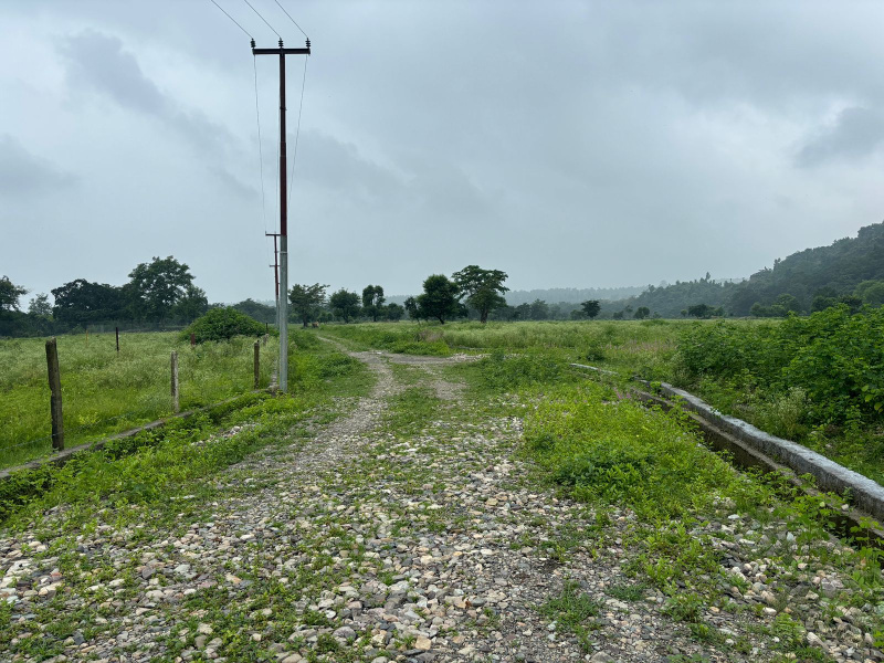  Residential Plot 200 Sq. Yards for Sale in Thano, Dehradun