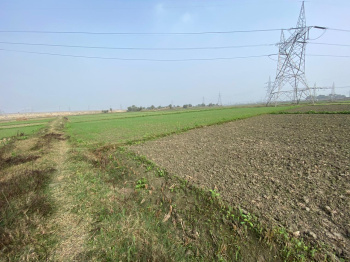  Agricultural Land for Sale in Chunar, Mirzapur-cum-Vindhyachal