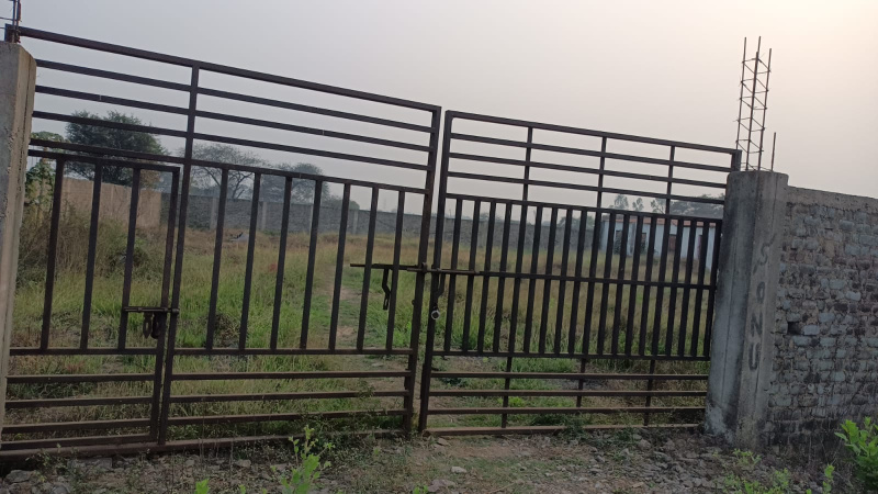  Agricultural Land 15000 Sq.ft. for Rent in Hirapur, Raipur