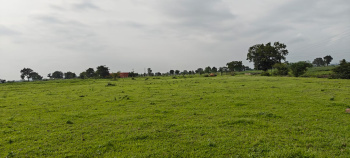  Agricultural Land for Sale in Khandwa Road, Indore