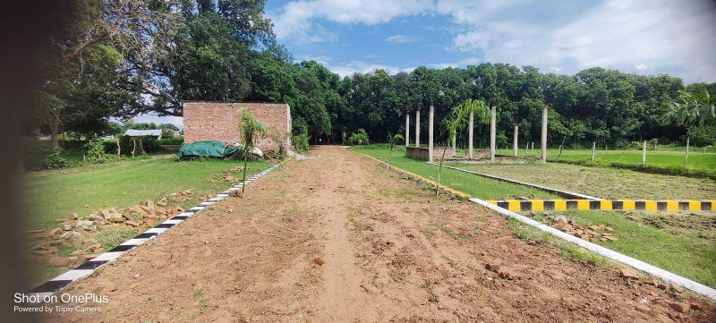  Residential Plot 1000 Sq.ft. for Sale in Ayodhya, Faizabad