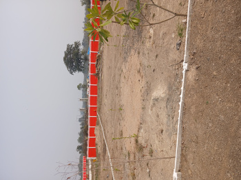  Agricultural Land for Sale in Amravati Road, Nagpur