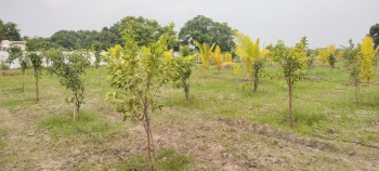  Agricultural Land for Sale in Avadi, Chennai