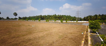  Residential Plot for Sale in Achipatti, Coimbatore