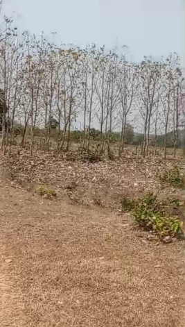 10 BHK Farm House 51 Acre for Sale in Handapa, Angul