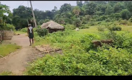  Agricultural Land 20 Acre for Sale in Athmallik, Angul