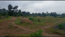 5 BHK Farm House for Sale in Amalapada, Angul