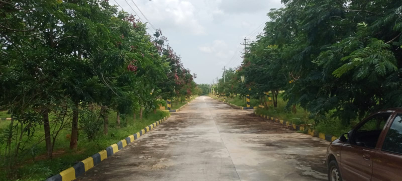  Residential Plot 146 Sq. Yards for Sale in Ibrahimpatnam, Hyderabad