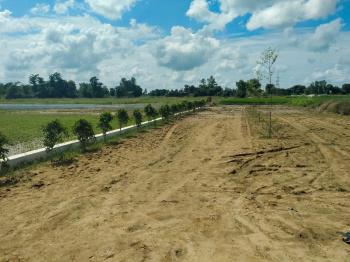  Residential Plot for Sale in Sukrauli, Kushinagar