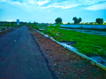  Agricultural Land for Sale in Dhamna, Nagpur