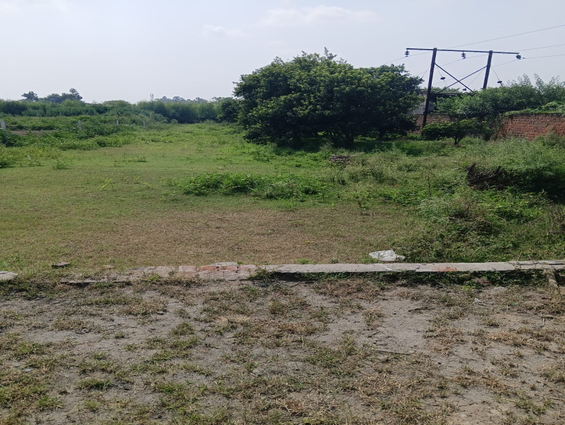  Commercial Land 130 Marla for Rent in Nasrala, Hoshiarpur