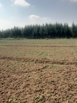  Agricultural Land for Sale in Cheyyur, Chengalpattu
