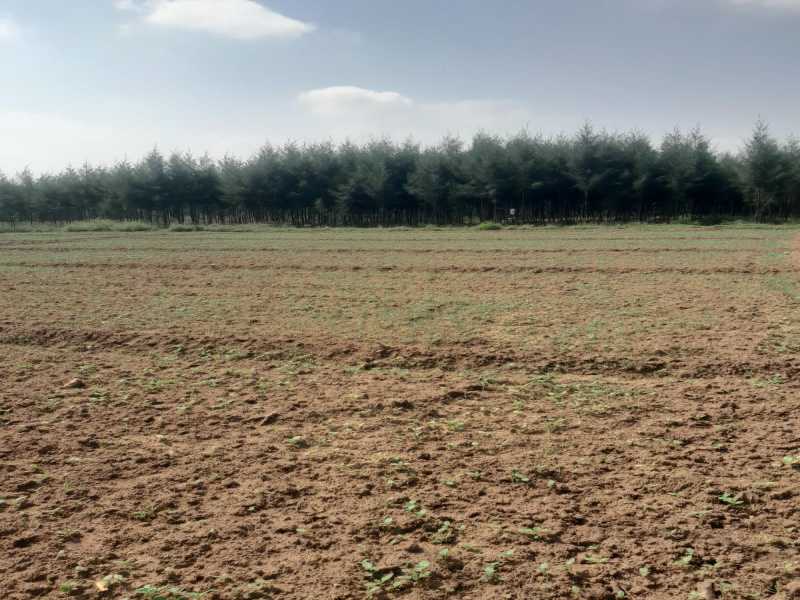  Agricultural Land 3 Acre for Sale in Cheyyur, Chengalpattu