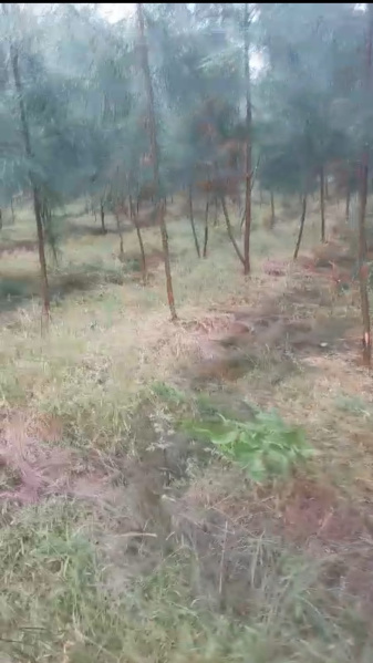  Agricultural Land 3 Acre for Sale in Cheyyur, Chengalpattu