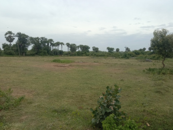  Commercial Land for Sale in Acharapakkam, Chengalpattu