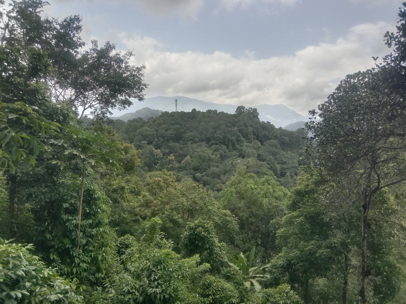  Agricultural Land 2 Acre for Sale in Adimali, Idukki