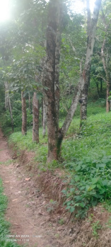  Agricultural Land for Sale in Kanjikuzhy, Idukki
