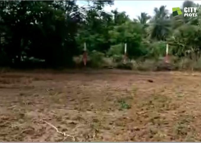  Residential Plot 1150 Sq.ft. for Sale in Mamandur, Chengalpattu