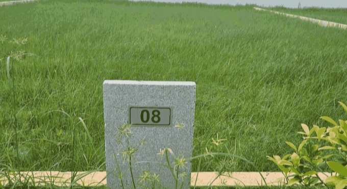  Residential Plot 800 Sq.ft. for Sale in Kattankolathur, Chennai