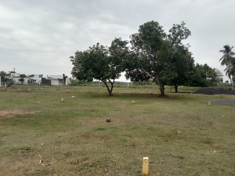  Residential Plot 500 Sq.ft. for Sale in Alapakkam, Chengalpattu