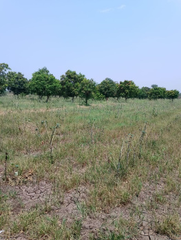  Agricultural Land for Sale in Raopura, Vadodara