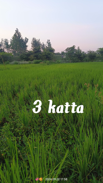  Agricultural Land 30400 Sq.ft. for Sale in Pratapganj, Supaul